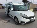Fiat Doblo 1.6 mtj 105 CV FAMILY CON 5 POSTI VETTURA Blanc - thumbnail 13
