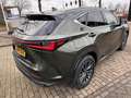Lexus NX 450h+ AWD Luxury Line, Trekhaak afn.kogel! Grün - thumbnail 4