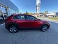 Mazda CX-30 G122 Comfort+ Rot - thumbnail 6