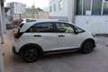 Honda Jazz 1,5 i-MMD Hybrid Crosstar Advance Aut. Weiß - thumbnail 6