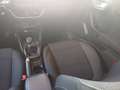 Ford Puma 1,0 EcoBoost Hybrid Titanium, Navi, Rückfahrkamera Grau - thumbnail 10
