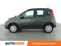 Fiat Panda 1.3 M-Jet 4x4 Rock*KLIMA*GARANTIE* Groen - thumbnail 3