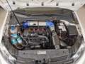 Volkswagen Golf GTI SER 6 2.0 GTI R TSI DSG 3p - RATE AUTO MOTO SCOOTE Blanco - thumbnail 34