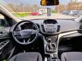 Ford Kuga 1.5 tdci ST-Line Business s&s 2wd 120cv Nero - thumbnail 4