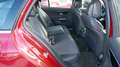 Mercedes-Benz C 220 d-T-mod/AHK/Park-Paket/Avantgarde Rot - thumbnail 21