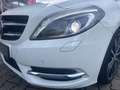 Mercedes-Benz B 200 *Sport Paket* Night-Paket*Bi-Xenon*AHK* Weiß - thumbnail 11