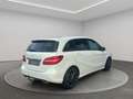 Mercedes-Benz B 200 *Sport Paket* Night-Paket*Bi-Xenon*AHK* Weiß - thumbnail 6