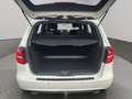Mercedes-Benz B 200 *Sport Paket* Night-Paket*Bi-Xenon*AHK* Weiß - thumbnail 9