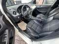 Mercedes-Benz B 200 *Sport Paket* Night-Paket*Bi-Xenon*AHK* Weiß - thumbnail 24