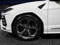 Lamborghini Urus Urus *1 Besitz*Ö-Auto*Garantie*TAUSCH*LEASING* Weiß - thumbnail 7