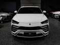Lamborghini Urus Urus *1 Besitz*Ö-Auto*Garantie*TAUSCH*LEASING* Wit - thumbnail 2