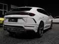Lamborghini Urus Urus *1 Besitz*Ö-Auto*Garantie*TAUSCH*LEASING* Weiß - thumbnail 5