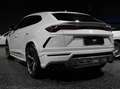 Lamborghini Urus Urus *1 Besitz*Ö-Auto*Garantie*TAUSCH*LEASING* Weiß - thumbnail 6