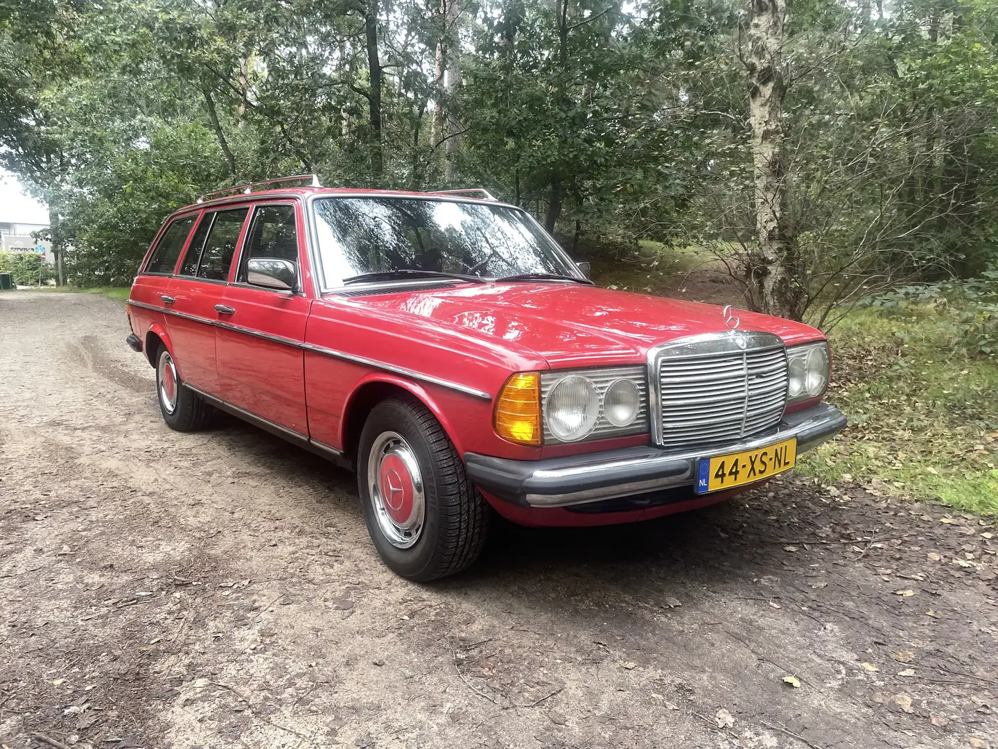 Mercedes-Benz 230 T 7-zits Roşu - 1