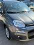 Fiat Panda Panda 1.2 Lounge Gris - thumbnail 2
