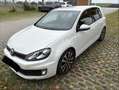 Volkswagen Golf GTI 2.0 adidas - thumbnail 7