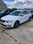Skoda Octavia Combi 1.6 TDI Greentech Ambition Business Wit - thumbnail 1
