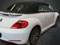 Volkswagen Maggiolino Cabrio 1.2 TSI Allstar BlueMotion Technology Alb - thumbnail 8