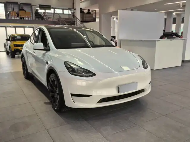 Tesla Model Y Single Motor