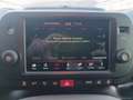 Fiat Panda Cross 1.0 FireFly S&S Hybrid Bianco - thumbnail 15