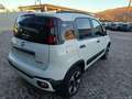 Fiat Panda Cross 1.0 FireFly S&S Hybrid Bianco - thumbnail 5