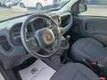 Fiat Panda Cross 1.0 FireFly S&S Hybrid Bianco - thumbnail 12