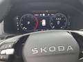 Skoda Karoq 4x4 Selection TDI DSG Silber - thumbnail 10