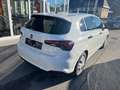 Fiat Tipo FireFly Turbo 100 City Sport *Sitzhzg*Klimaaut* Weiß - thumbnail 6