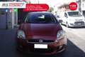 Fiat Bravo FIAT Bravo 1.6 MJT 105 CV DPF Active 77KW ANNO 20 Червоний - thumbnail 9
