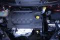 Fiat Bravo FIAT Bravo 1.6 MJT 105 CV DPF Active 77KW ANNO 20 Червоний - thumbnail 18