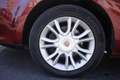 Fiat Bravo FIAT Bravo 1.6 MJT 105 CV DPF Active 77KW ANNO 20 Червоний - thumbnail 5