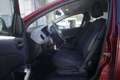 Fiat Bravo FIAT Bravo 1.6 MJT 105 CV DPF Active 77KW ANNO 20 Червоний - thumbnail 17
