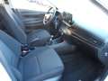 Fiat Punto - thumbnail 2