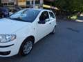 Fiat Punto - thumbnail 8