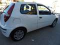Fiat Punto - thumbnail 5