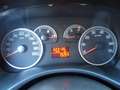 Fiat Punto - thumbnail 12
