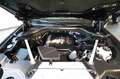 BMW X4 xDrive20d 48V - PELLE/ADAPTIVE LED/20"/TELECAMERA Nero - thumbnail 11