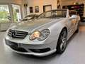 Mercedes-Benz SL 500 SL 500 AMG-Styling Silber - thumbnail 9