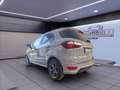 Ford EcoSport 1.0 ecoboost ST-Line s&s 125cv my20.25 Grigio - thumbnail 3