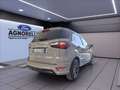 Ford EcoSport 1.0 ecoboost ST-Line s&s 125cv my20.25 Grigio - thumbnail 5