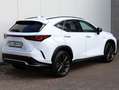 Lexus NX 450h+ AWD F Sport Line | Head-Up | Adaptief onderstel | Blanc - thumbnail 41