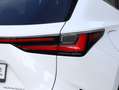 Lexus NX 450h+ AWD F Sport Line | Head-Up | Adaptief onderstel | Blanc - thumbnail 38
