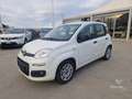 Fiat Panda Panda 1.2 Easy - thumbnail 2