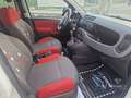 Fiat Panda Panda 1.2 Easy - thumbnail 12