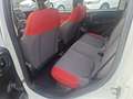Fiat Panda Panda 1.2 Easy - thumbnail 10