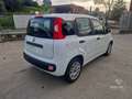 Fiat Panda Panda 1.2 Easy - thumbnail 5