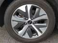 Kia e-Niro Elektrisch 204pk Aut ExecutiveLine Grau - thumbnail 22