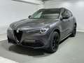 Alfa Romeo Stelvio 2.0 t B-Tech Q4 200cv auto Alfa Romeo Stelvio Grijs - thumbnail 1