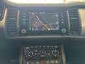 Skoda Kodiaq Ambition TDI DSG Blau - thumbnail 13