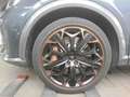 CUPRA Formentor VZ 2.0 TSI DSG 4Drive BREMBO+AHK+BEATS Klima Navi Grau - thumbnail 8